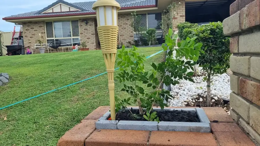 OnTime Landscape & Tree Maintenance carrying out garden maintenance work in Brisbane