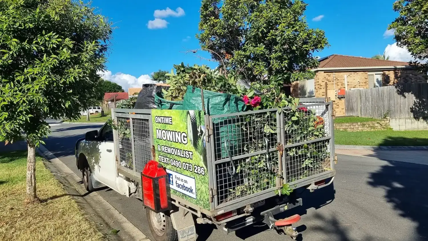 Tree Removal in Brisbane by OnTime Landscape & Tree Maintenance